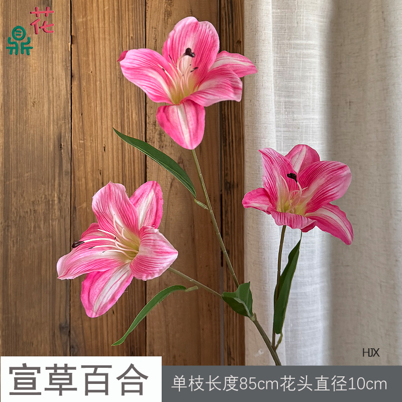 Xuancao Lily HJX 로즈 레드