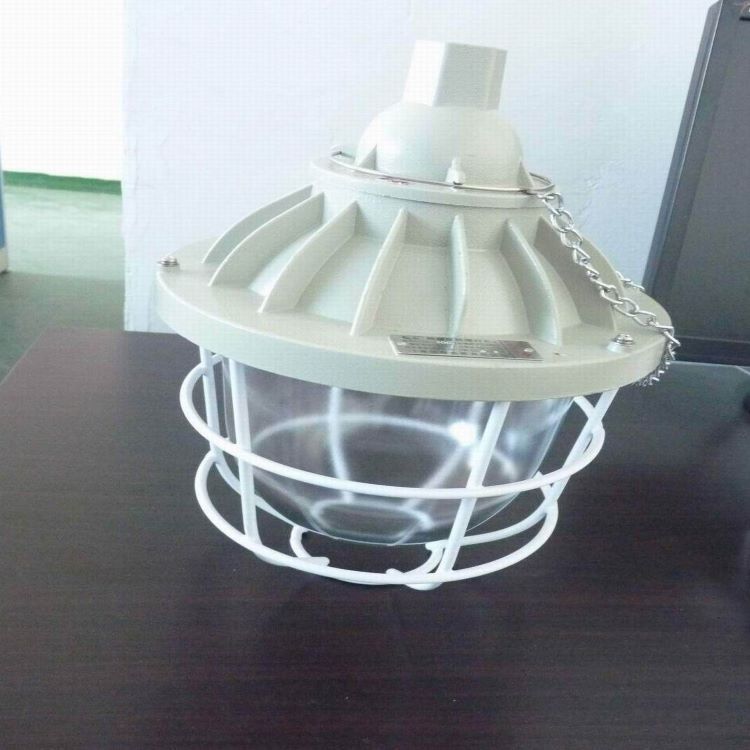 防爆节能灯//防爆100灯//防爆节能灯具