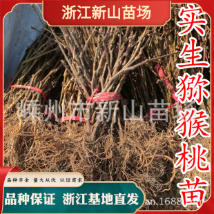 Ұ��ܛ����ζ���A�����Ҍ�����ݫJ���Ҍ�����ľ�J������ľ��޽�