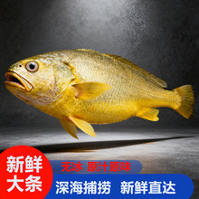 ����S���~���l���S�~���rˮ�a���r��������r�~���S�~һ�����l