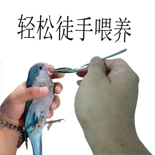 Parrot feeding device, hand-raised myna, black phoenix, tiger skin, baby bird milk powder feeding spoon, stainless steel spoon