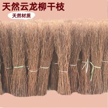 天然云龙柳干枝柳条柳枝干花干树枝装饰插花艺术婚庆拱门藤椅编织