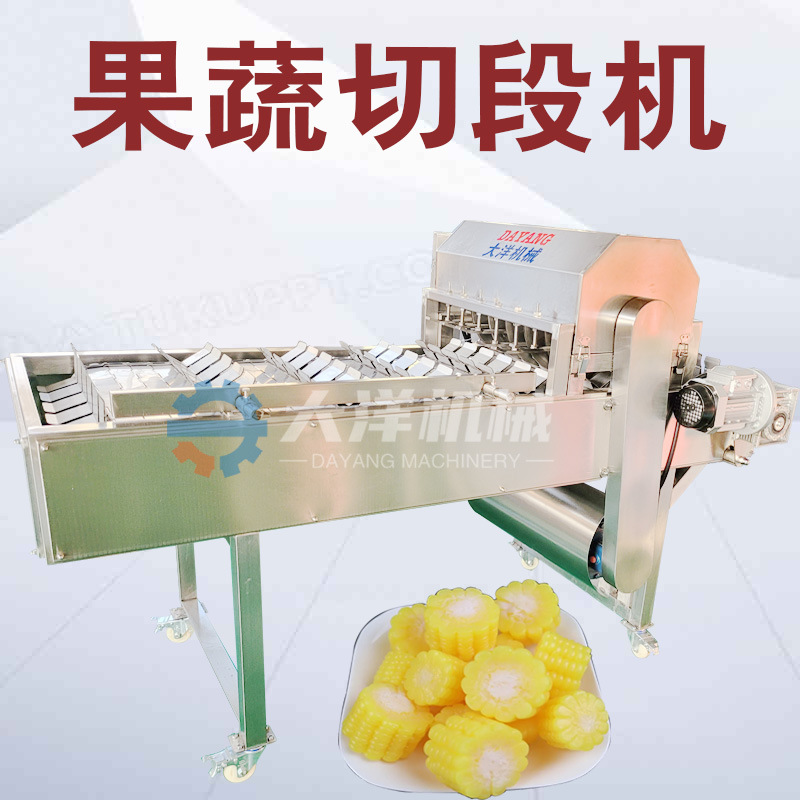 莲藕切段机尺寸规整 不锈钢玉米切段设备双排刀白萝卜截段机器