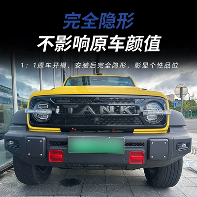 Tank 300Lhi4z/t anti-insect net, snap-on: Automobile anti-insect net