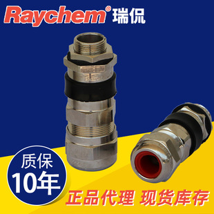 Ruikan/Raychem GL-34 stainless steel explosion-proof blue head