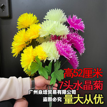 ����������ջ������ω����Ͻ������뚛����ƷĹ�ؒ�Ĺ���[�żٻ�