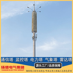 30メートル街灯照明塔景観ガラス鋼美化カバー塔5g信号発射塔移動通信ポール塔