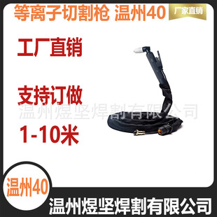 Air plasma cutting gun PT-31 Wenzhou 40 gun head AG60 whole gun SG55 cutting gun WSD-60P welding gun