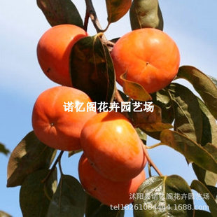 �޽��ձ����д������Ә����o�����������ϱ������Ե��Ԯ���Y��