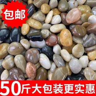 50���Z��ʯ�껨ʯͥԺ�·䁵�Сʯ�^ʯ���~�׻����b��쾰�Zܛʯ