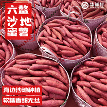 �����������r��������ɳ�ؼt�����r�ҷ����ԷNɽ�����ϼtС�t��