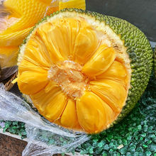 海南三亚黄肉菠萝蜜当季新鲜水果波罗蜜红心一整个假榴莲批发工厂