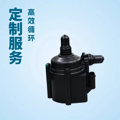 52148813 52113825 52076422 5802759502 Auxiliary Water Pump (Water pump)