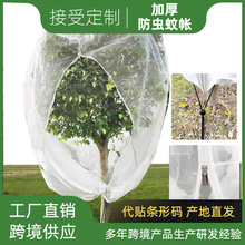 �羳�������x�W�ֳ��K���ֲ����x�ִ��������B�W���@���x�W��