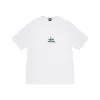 White [color standard]