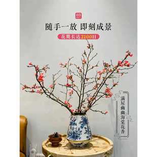 ˮ��ֲ���ļ����Ļ��r��֦�҃ȿ͏dˮ�B�Gֲ���Ԙ���ܲ廨��