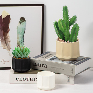 Minimalist Ins-Style Light Luxury Cream-Style Faux Ceramic Plastic Flower Pot Nordic Home Phalaenopsis Succulent Green Plant Pot