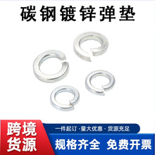 �羳����̼���\���|Ȧ4.8�����ɉ|Ȧ�������ɉ|Ƭ�_��