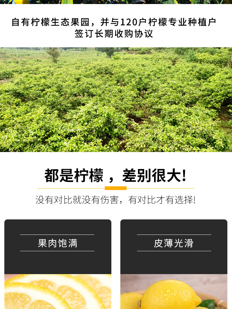 柠檬阿里详情230616_05.jpg