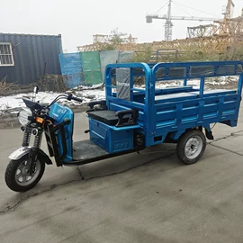 电动三轮车;三轮车