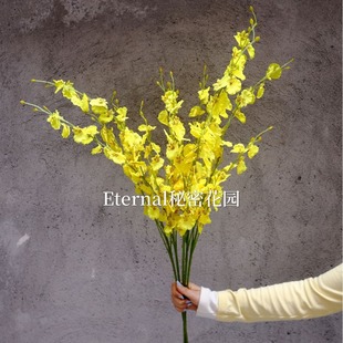 滨5mSɫlʮֻmӭY羳l