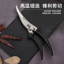 �������u�Ǽ����N�ü����P������ü����uצ���⌣�ÏN������