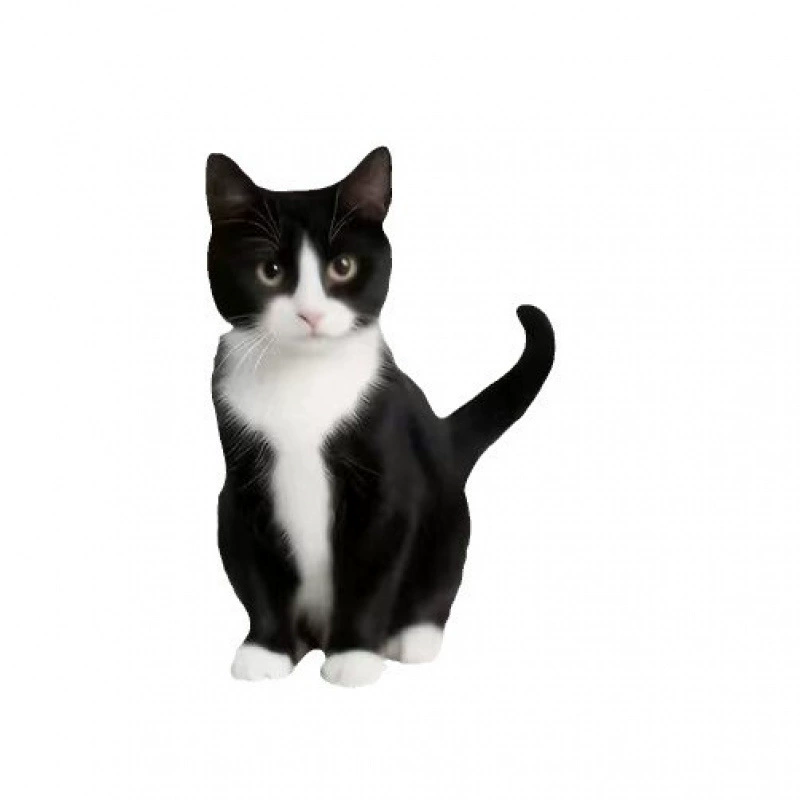 Трансграничные новые сливочные кошки акриловые подвески для автомобильных зеркал заднего вида подвески милые черно-белые украшения для котят