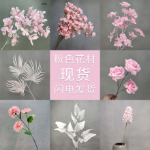 ���滨��ɫõ�彑����w��۹����m���Ͳ��~�����c�ٻ����컨