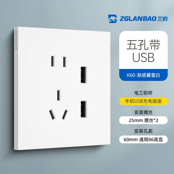 Five -hole dual USB socket