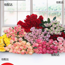 rõ廨rٺտl廨ƿֱlrл