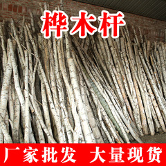 樺木杆樹枝2－4米櫥窗樹杈裝飾酒店布置原木樹杆白樺樹樁批發