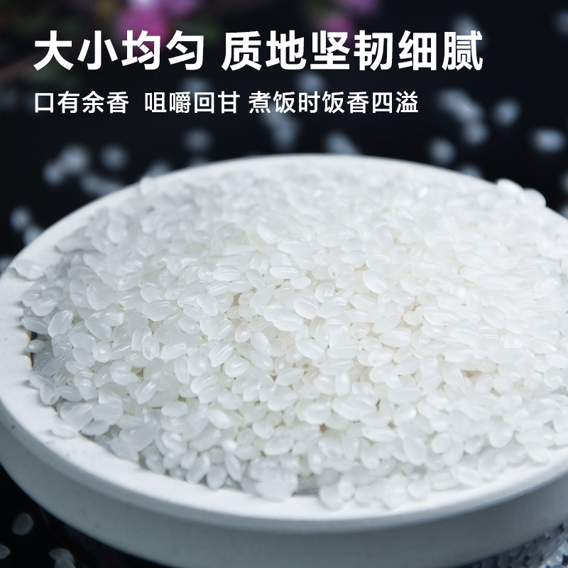 五常大米10斤原粮稻花香东北长粒香米5kg当季新米圆粒粳米厂家价|undefined