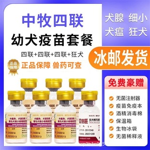 �����������������Ȯ�A����СȮ����Ȯ����ӏ�����ȫ���ײ��