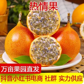 其他水果;梨;哈密瓜