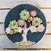 Ceramics, nail decoration, jewelry, plant lamp, flowerpot with accessories, micro landscape