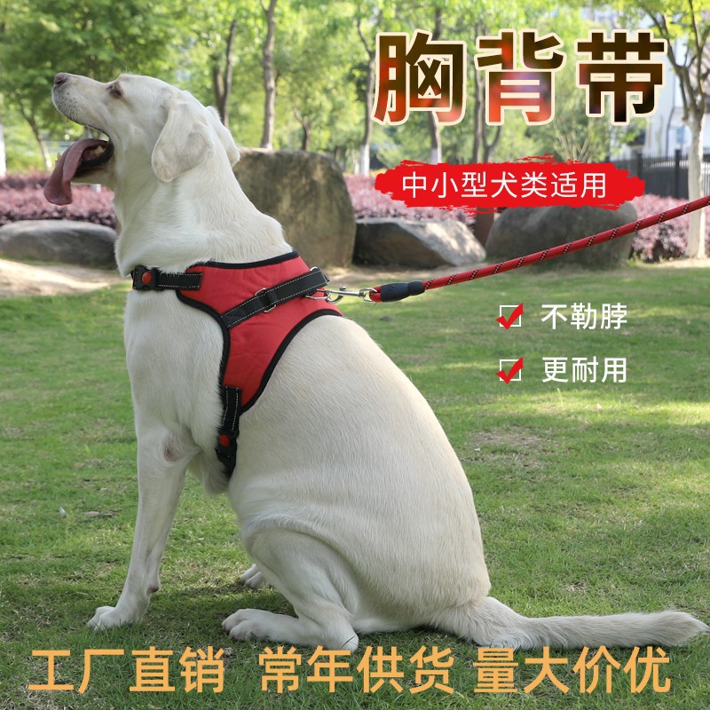 狗狗牵引绳批发厂家狗绳亚马逊新款中大型犬伸缩背心式宠物胸背带