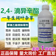 2，4-滴异辛酯50%除草剂冬小麦田除杂草24D除草剂农药批发灭草剂