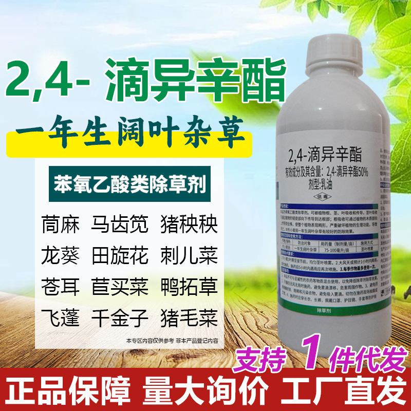 2，4-滴异辛酯50%除草剂冬小麦田除杂草24D除草剂农药批发灭草剂