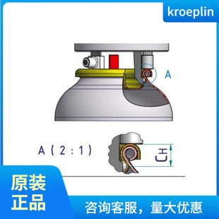 ��؛Դkroeplin���F��ƿ����Ȝy����ҎA2105