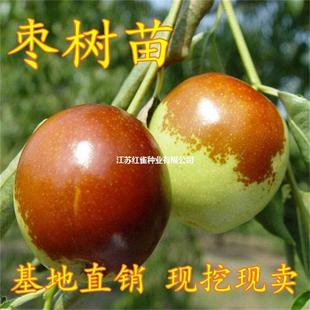 ��������ش󶬗��޽��ش󱱷��Ϸ��NֲͥԺ���J��������������