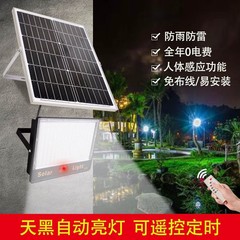 国境を越えた太陽エネルギー誘導灯屋外庭園灯家庭用超亮街灯防水室内外新農村LED照明