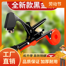 ��֦�C�r�����t����������֦�����ѽ��S���z�������֦������