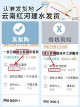 一壶云南建水紫陶茶壶家用非紫砂坭兴瓷单功夫茶具浮雕手工紫陶壶