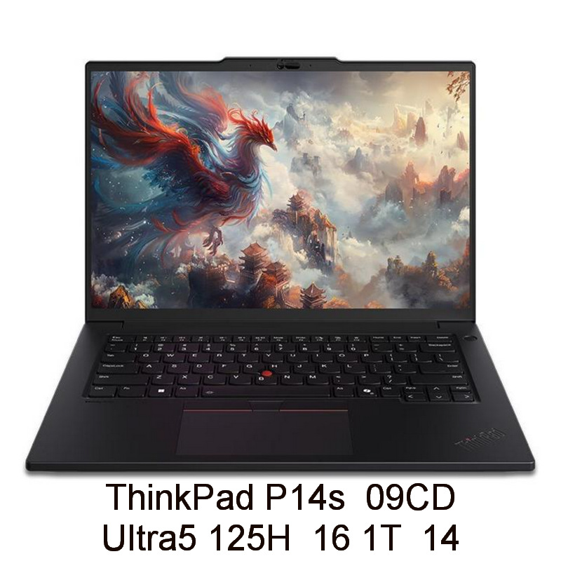 2410 Laptop P14s 09CD 125H 16 1T 14 