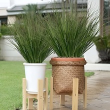 公园街道pet户外假草仿真造景草仿真草春草装饰植物芦苇草洋葱草