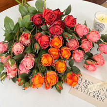 法式5头焦边玫瑰复古安哥拉玫瑰花仿真花假花装饰人造花婚庆花材