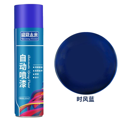Avtomobil boyası, hand spray paint, coatings, car - shifeng-blue-1-bottle-800ml