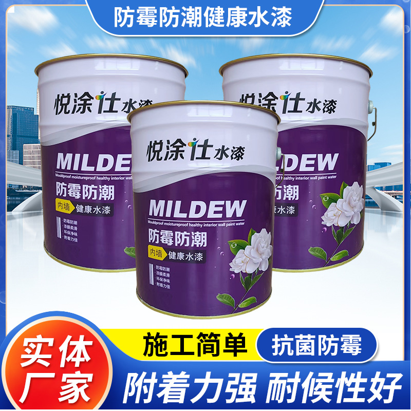 防霉防潮健康水漆涂料生产车间无机防霉涂料耐洗刷性防锈外墙涂料