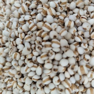 �S�����l޲����500g���w������޲���F�ݮa��ɢ�b��ș�����l