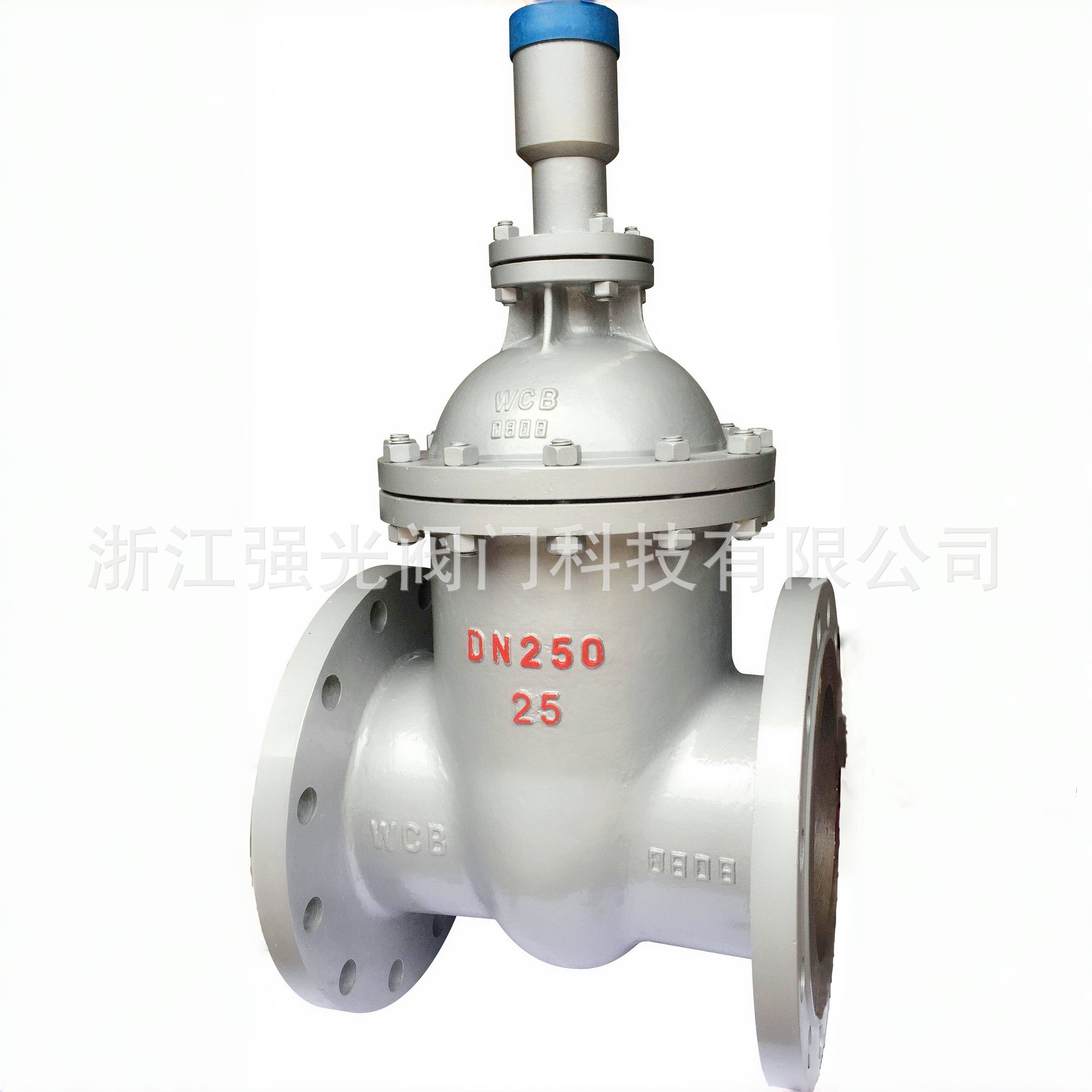 FDZ45H-10C,FDZ45H-16C,FDZ45H-25C,碳钢铸钢防盗锁闭法兰闸阀